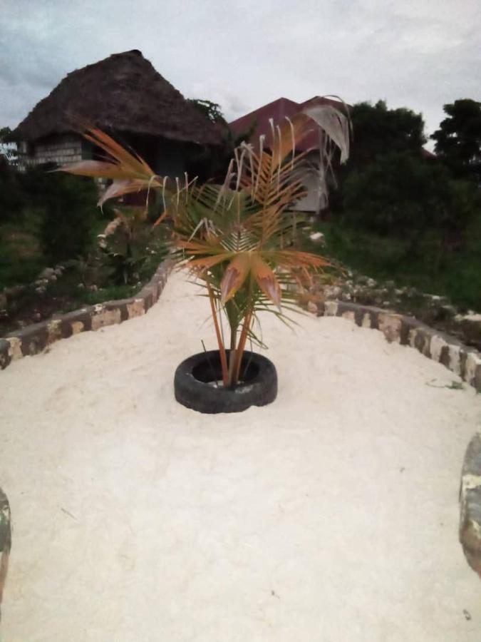 Marashi Villa Nungwi Exteriör bild